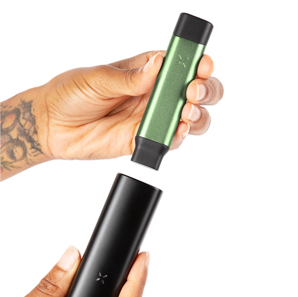 The Connoisseur - PAX FOUR